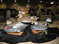 IMG_3593_1_1.JPG IMG_3593_1_1.JPG