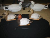 IMG_3598_1_1.JPG IMG_3598_1_1.JPG