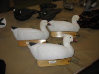 IMG_3599_1_1.JPG IMG_3599_1_1.JPG