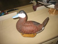 IMG_3601_1_1.JPG IMG_3601_1_1.JPG