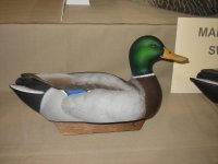 IMG_3608_1_1.JPG IMG_3608_1_1.JPG