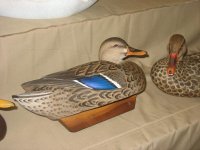 IMG_3611_1_1.JPG IMG_3611_1_1.JPG