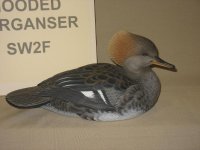 IMG_3614_1_1.JPG IMG_3614_1_1.JPG