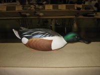 IMG_3624_1_1.JPG IMG_3624_1_1.JPG