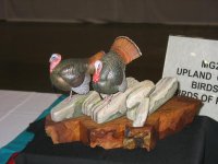 IMG_3663_1_1.JPG IMG_3663_1_1.JPG