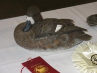 IMG_3666_1_1.JPG IMG_3666_1_1.JPG