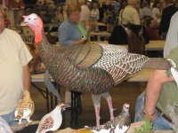 IMG_3667_1_1.JPG IMG_3667_1_1.JPG