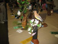 IMG_3668_1_1.JPG IMG_3668_1_1.JPG