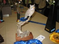 IMG_3670_1_1.JPG IMG_3670_1_1.JPG