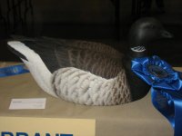 IMG_3673_1_1.JPG IMG_3673_1_1.JPG