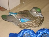 IMG_3675_1_1.JPG IMG_3675_1_1.JPG