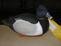 IMG_3681_1_1.JPG IMG_3681_1_1.JPG