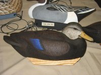 IMG_3683_1_1.JPG IMG_3683_1_1.JPG