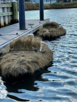 southbay project2.jpg