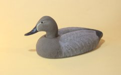 Model 63 Canvasback Hen.JPG