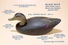 sm Black Ducks - BEHR PAINTS.JPG