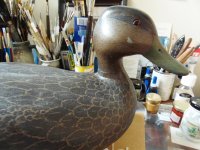 Ken Harris Black Duck (2).JPG