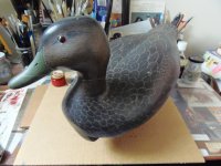 Ken Harris Black Duck (4).JPG