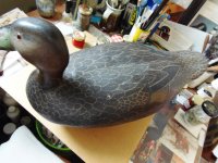 Ken Harris Black Duck (5).JPG