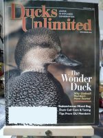 20221215_114837DU Gadwall.jpg