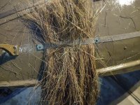 Wrangler 11 - Thatch in webbing.jpg