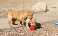 IMG_2153.JPG