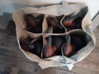 Cans in decoy bag.jpg