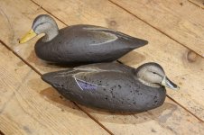 8 - McCormick Black Duck Pair - repainted by SJS.JPG