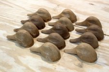 Montecalvo 5 - 13 heads trimmed.JPG