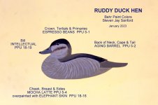 Ruddy Duck Hen - BEHR colors.JPG