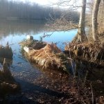 IMG_20230128_084822.jpg IMG_20230128_084822.jpg