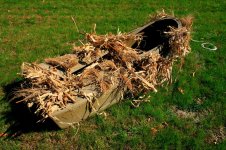 Cornfield-ready.jpg Cornfield-ready.jpg