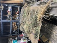 03625DAC-3ACE-4244-9F55-14AB37FE82D5.jpeg 03625DAC-3ACE-4244-9F55-14AB37FE82D5.jpeg