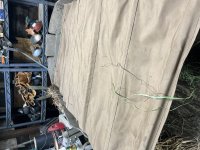 C372FA87-19AA-486B-8D15-07B8A2FCEEB1.jpeg C372FA87-19AA-486B-8D15-07B8A2FCEEB1.jpeg