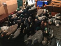 LL Bean1