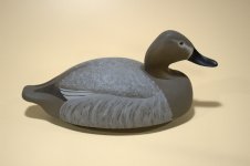Wildfowler Canvasback Hen A.jpg
