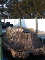 Duck Ark.jpg Duck Ark.jpg