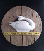 relief carved tundra swan sign.jpg