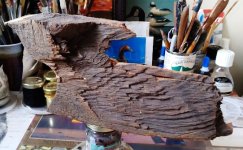 Sharpsville, PA Sugar Pine.jpg