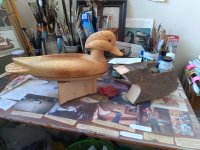 wood duck taken with phone.jpg