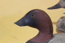 Wildfowler Drake Canvasback - broken bill.JPG