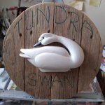 Tundra Swan (7).jpg