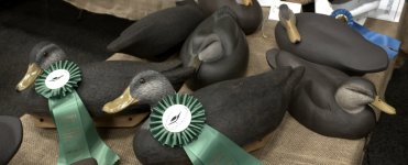 CDE McCormick Black Ducks - partial.jpg