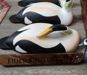 eider big4.jpg