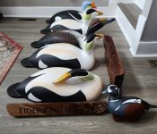 eider big6.jpg