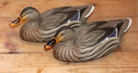 LIWHG - Wildfowler Mallard Hens 1.JPG