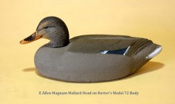 sm Allen Mallard Head on Herters Model 72 Mallard Body.jpg