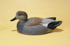 E Allen Gadwall Drake - Eric Henry - on bench.JPG