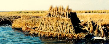 Cordgrass 3 - SJS Sneakbox + Blind - flaps up.jpg