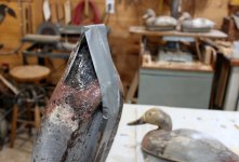 Beans tail repair 1.JPG